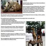 Isabelle Panelas-Huard Isabelle Panelas-Huard