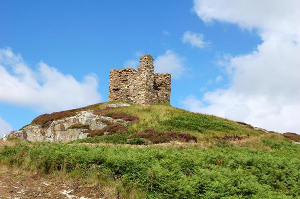 « L’Organisme » : avis de lecteurs (16) castle-Varich.jpg