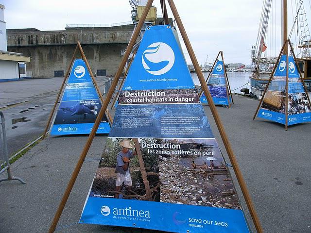 fleur de passion fleur de passion