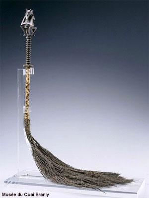 Australes300-branly Australes300-branly