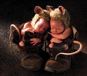 Anne Geddes ( oh rage !!! oh desespoir...) geddes_2