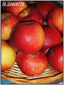 Tarte tatin au miel et chantilly au pistache. 074