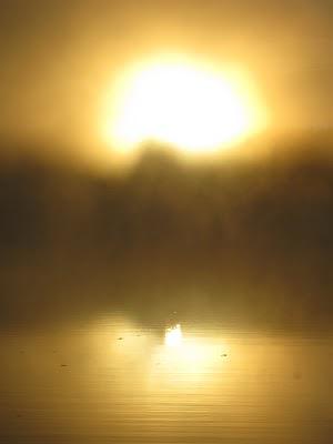 Créativité & compagnie Créativité & compagnie