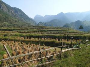 Zhejiang Paradis naturel au coeur du Zhejiang