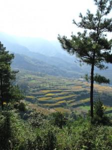 Zhejiang Paradis naturel au coeur du Zhejiang