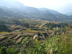 Zhejiang Paradis naturel au coeur du Zhejiang