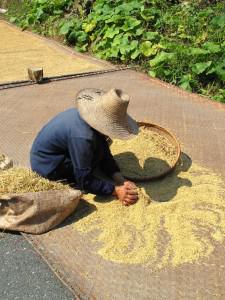Zhejiang Paradis naturel au coeur du Zhejiang