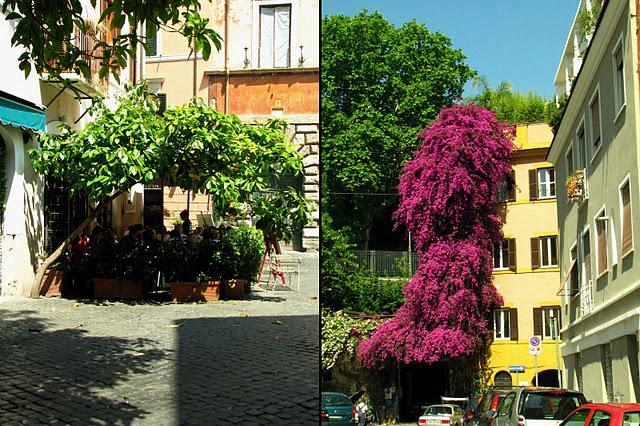Vacances romaines #3. Recettes et bonnes adresses : fromage et spaghettis