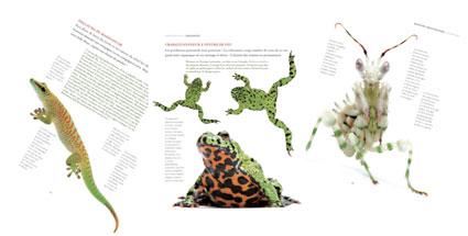 CCnos-nac2 Avis aux terrariophiles