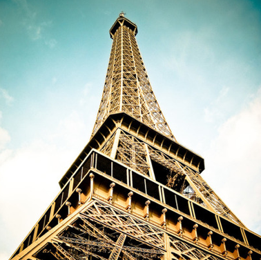 iPad Decor vous offre des fonds décran Safari13 iPad Decor vous offre des fonds décran