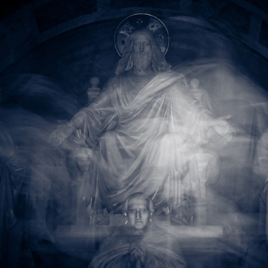 iPad Decor vous offre des fonds décran Safari12 iPad Decor vous offre des fonds décran