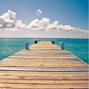 iPad Decor vous offre des fonds décran Safari14 iPad Decor vous offre des fonds décran