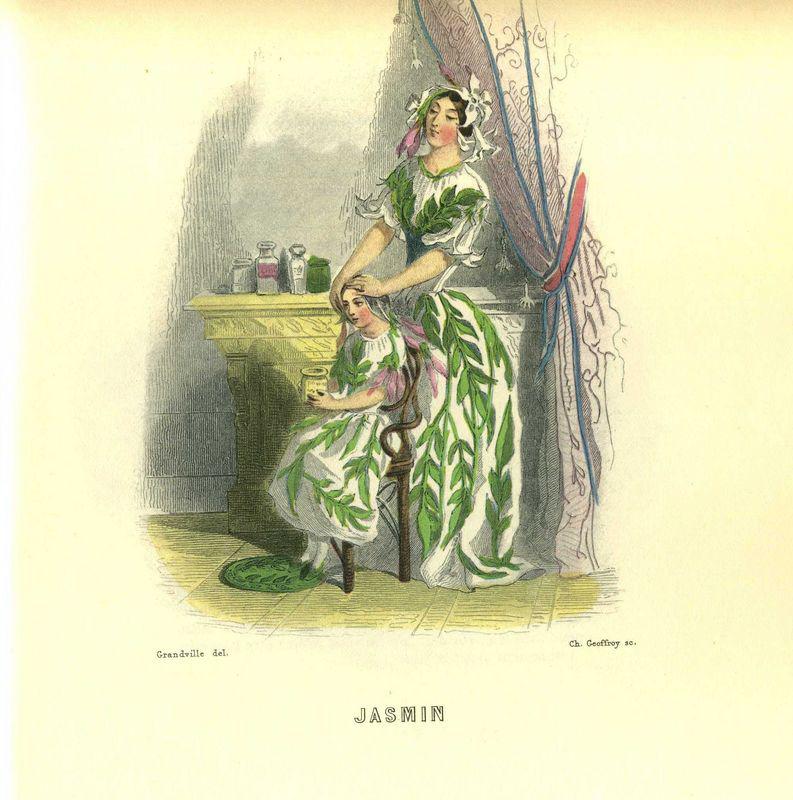 Jasmin (J.J. Grandville)
