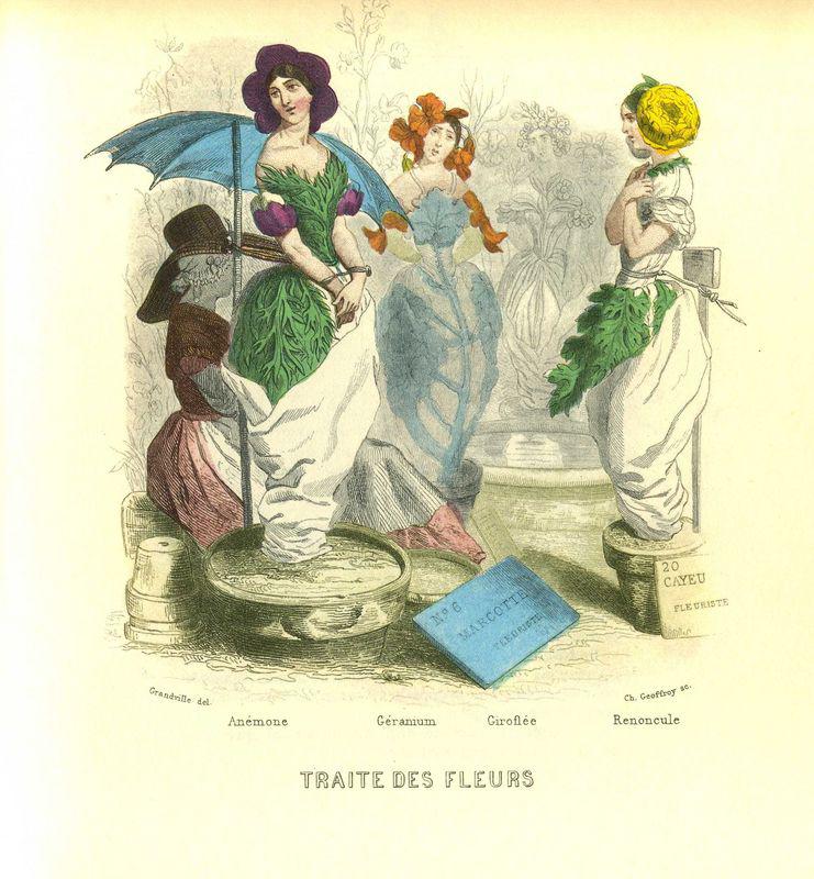 Traite des fleurs (J.J. Grandville)