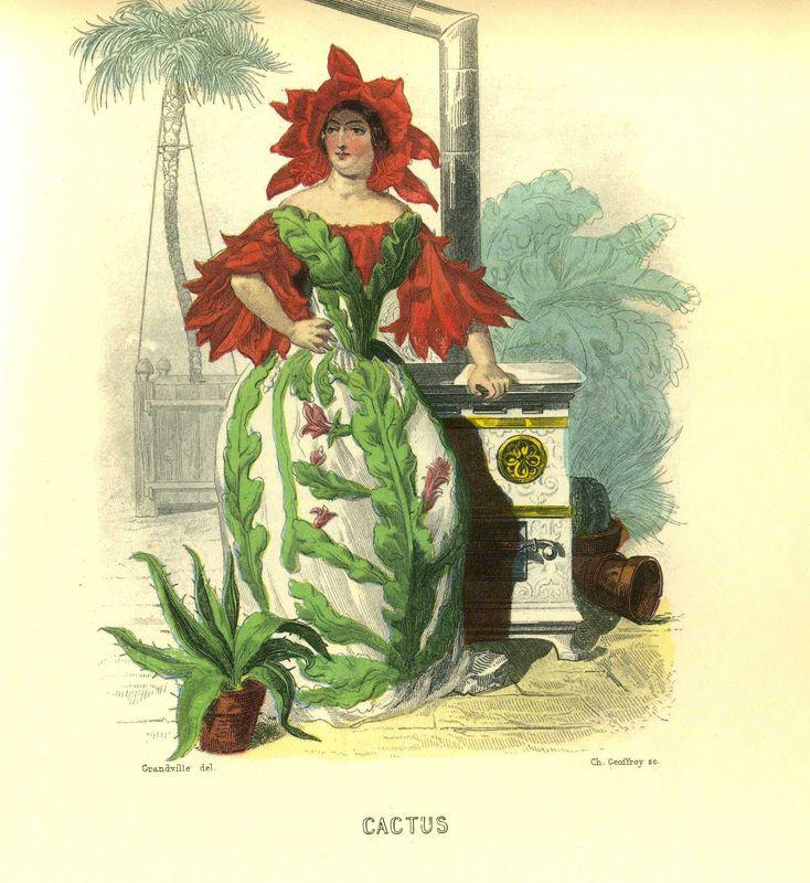 Cactus (J.J. Grandville)