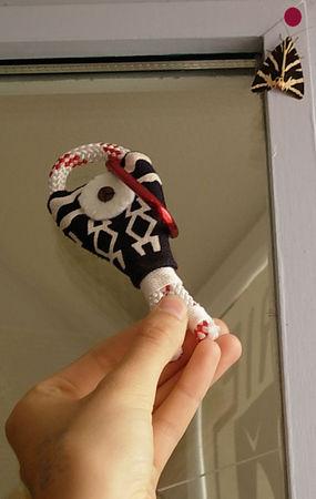 noir blanc rouge poisson_papillon