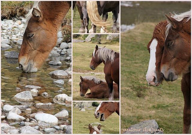 RETOUR AUX SOURCES RETOUR AUX SOURCES