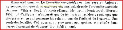 .
.
LA CORONILLA SCORPIOIDES
au
PUY-NOTRE-DAME
.
Gaston... .
.
LA CORONILLA SCORPIOIDES
au
PUY-NOTRE-DAME
.
Gaston...