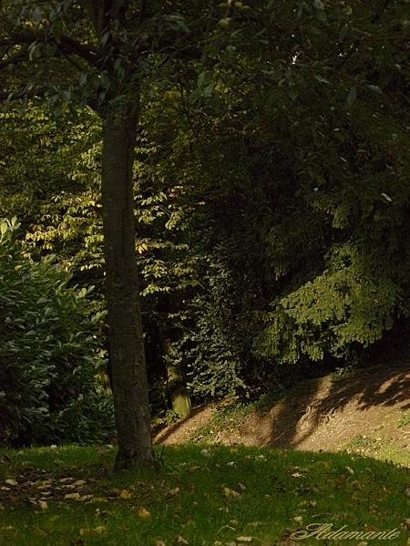 Un peu de ciel P1070382-copie.gif