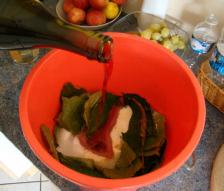 IF Délice d’automne