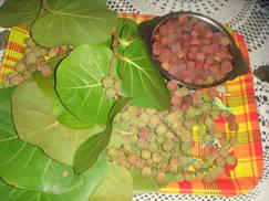 Raisin du souvenir ! dsc02860.1286969743.JPG