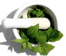 La stevia : une tendance très sucrée