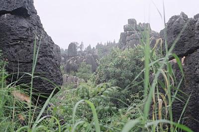 Deux journées d'éternel printemps (Nujiang, 1/?) Deux journées d'éternel printemps (Nujiang, 1/?)
