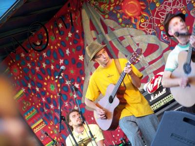 les terres défrichées les terres défrichées