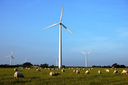stockvault sheeps and windmills112833 Lénergie éolienne pourrait représenter 20% de lénergie mondiale en 2030 !? 