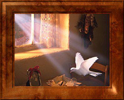 En hommage à notre amie Micky belle image