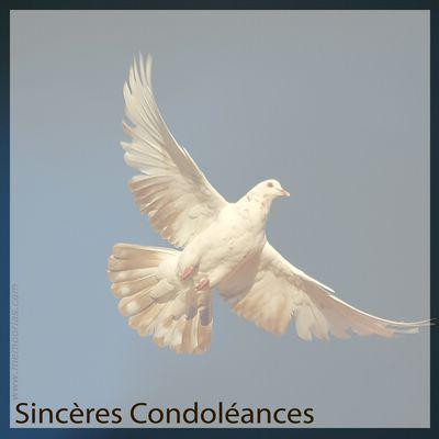 En hommage à notre amie Micky condoléances