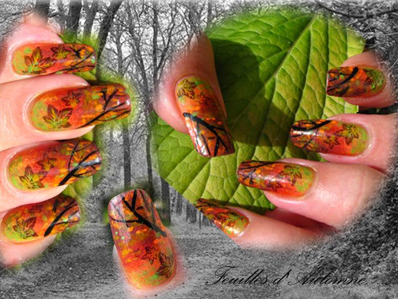 Gagnantes concours Nail Art Automne 2010 http://concours.pausebeaute.fr/uploads/5/bddbd20cc3c0128b3e36d262364eaffc_1285494227.jpg