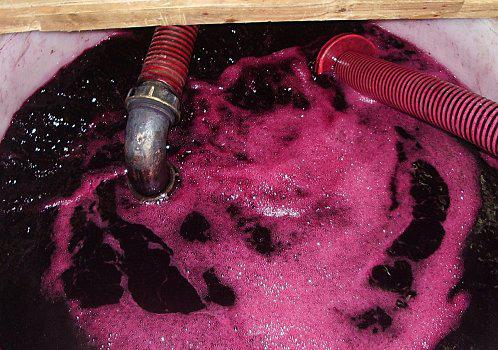 Silence dans la Cave. Matin plus calme