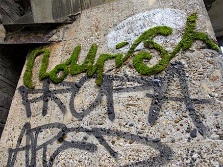 green grafiti 4 Le Green graffiti, un art écologique pour verdir les murs des villes ...