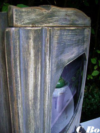 Vedette exposée! vedette_CBo_d_tail