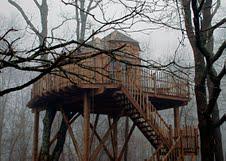 Feuillages photographiques de Jean Hincker Feuillages photographiques de Jean Hincker