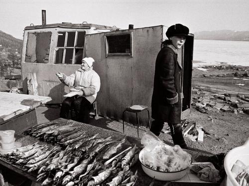La vedette du lac Baïkal omoul.jpg