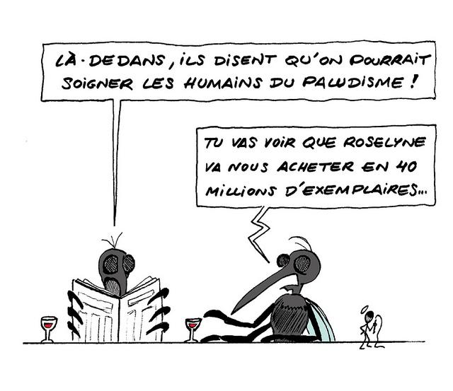 Moustique anophèle Le saigneur des anophèles