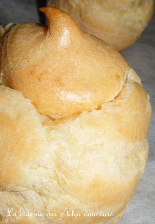 Religieuses coco , choco ! DSCF7540