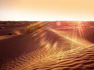 Le silence du désert