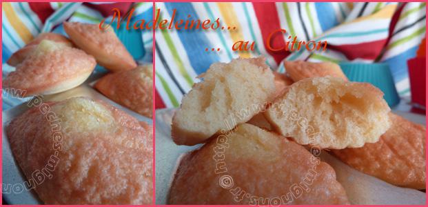 Madeleines au citron Madeleines au citron