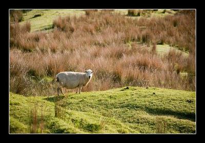 La grosse histoire du petit colis... La grosse histoire du petit colis...