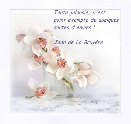 LA JALOUSIE... 43.jpg