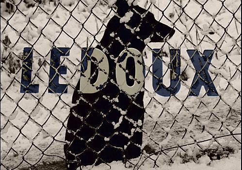 Tabanou Fontenay-sous-Bois - Parti Socialiste - Protection animaux ledoux.jpg