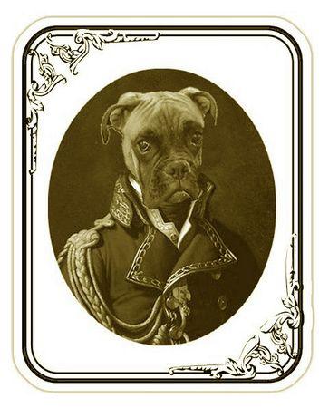 Captain D'Junior a rechuté... PortraitJunior