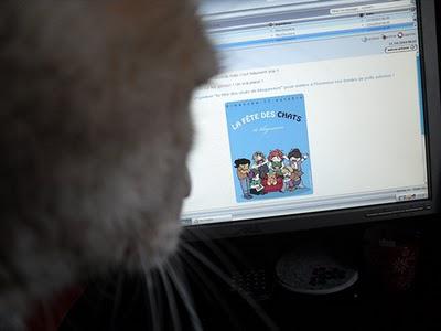 Pâtée à gogo et excès en tous genres : la fête des chats de blogueuses Pâtée à gogo et excès en tous genres : la fête des chats de blogueuses