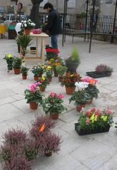 Un fleuriste à Ampus 021.1287322261.JPG