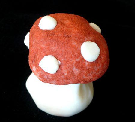 Champi'mousse Champi_mousse_3