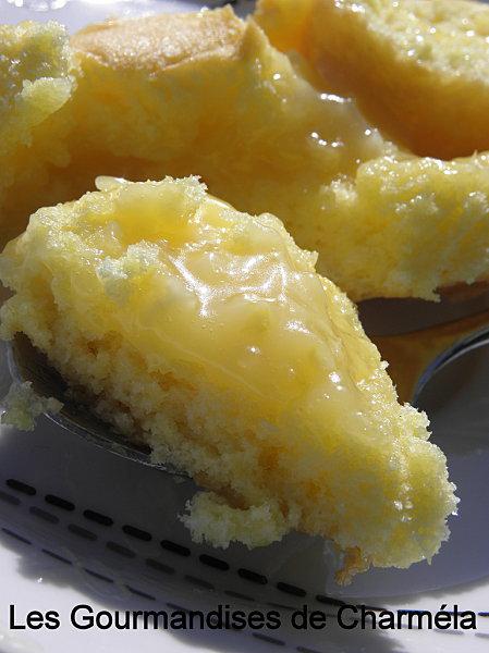 ROULE AU LEMON CURD PA180257