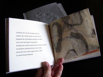 Camaieux - page ouverte Camaieux-page-ouverte-3